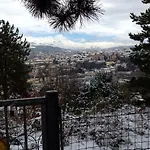 Nel Bosco LʼAquila