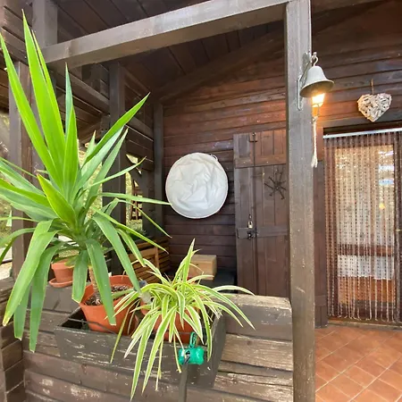 Casa Nel Bosco