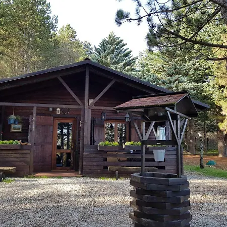 Chalet Nel Bosco L'Aquila